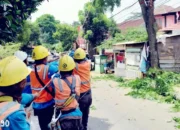 Dalam Rangka Hari Sumpah Pemuda, PLN Lampung dan DLH Bersinergi Lindungi Jaringan Listrik dari Ancaman Pohon Tumbang