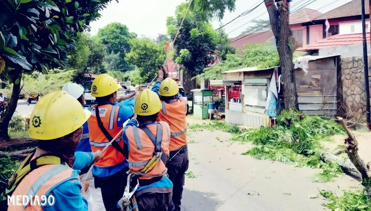 Peringati Hari Sumpah Pemuda, PLN Lampung Gandeng DLH Kolaborasi Amankan Jaringan Listrik dari Bahaya Pohon Tumbang