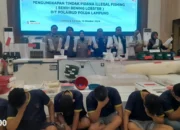 149 Ribu Benih Lobster Ilegal Diproduksi di Lampung Tengah, 14 Tersangka Ditetapkan oleh Polda Lampung