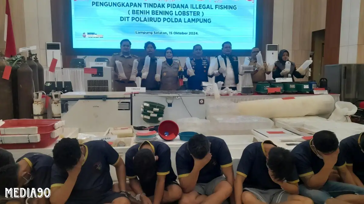 Produksi 149 Ribu Benih Lobster Ilegal di Lampung Tengah, Polda Lampung Tetapkan 14 Orang ini Jadi Tersangka