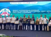 Pemkab Lampung Selatan Dapat Penghargaan EPSS dari BPS Lampung Berkat Indeks Pembangunan Statistik yang Memuaskan