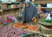 Inflasi Ekonomi Lampung pada September 2024 Mencapai 0,05 Persen, Dipengaruhi oleh Sektor Pendidikan dan Bawang