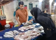 Inflasi di Bulan September 2024 Terkendali, Bank Indonesia Laporan Stabilitas Daya Beli Masyarakat Lampung