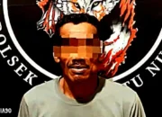 Tertangkap Mencuri 1,3 Ton Sawit, Pria Asal Bumi Ratu Nuban Lampung Tengah Dijebloskan ke Sel Polisi