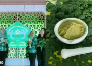 Dosen Universitas Malahayati Ciptakan Minuman Sehat Berbasis Daun Kelor, Stevia, dan Kolagen