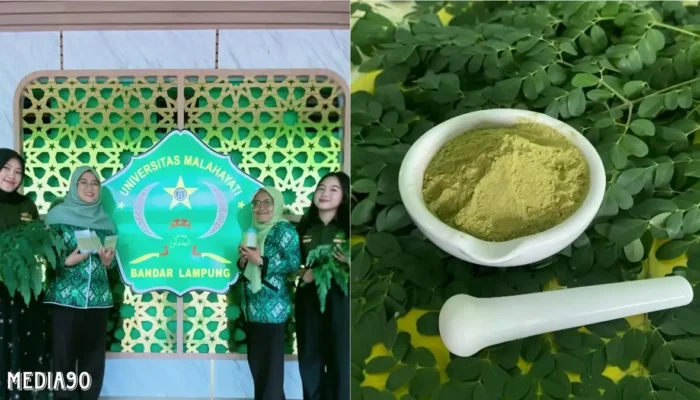 Dosen Universitas Malahayati Ciptakan Minuman Sehat Berbasis Daun Kelor, Stevia, dan Kolagen