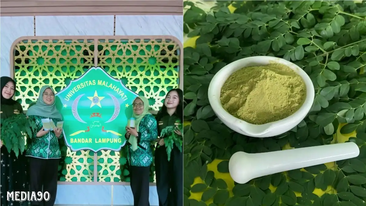 Tim Dosen Universitas Malahayati Kembangkan Minuman Sehat dari Bahan Daun Kelor, Stevia, dan Kolagen