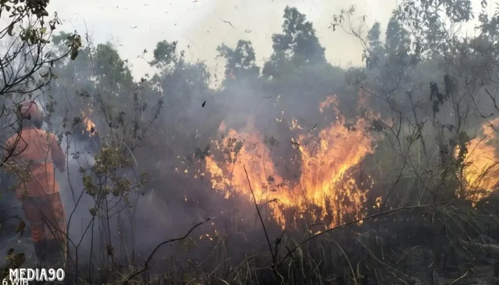 BMKG Pantau Titik Panas di Lima Kabupaten Lampung: Waspada Ancaman Kebakaran Hutan dan Lahan