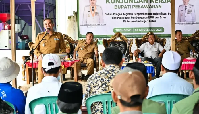 Bupati Pesawaran Mengunjungi Proyek Biofortifikasi Padi dan Fasilitas Pengolahan RMU serta Dryer di Negeri Katon