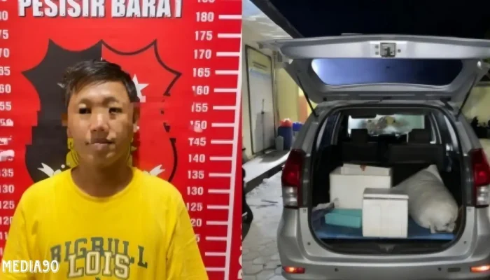 Usaha Selundupkan Benih Lobster Gagal, Pria Pesisir Barat Justru Ditangkap Bawa Narkoba di Pelabuhan Siging