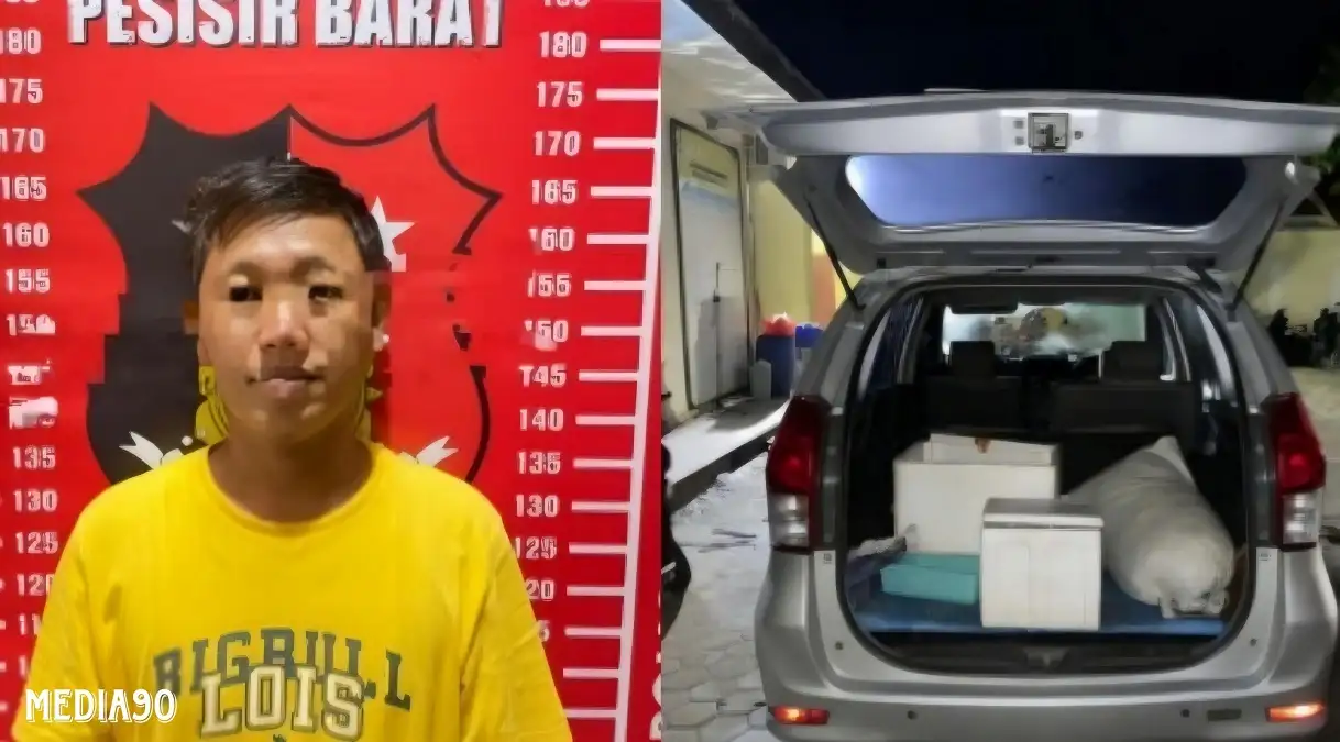 Gagal Selundupkan Benih Lobster, Pria di Pesisir Barat ini Kedapatan Bawa Narkoba di Pelabuhan Siging