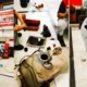 Guncang Otomotif Indonesia, Filter dan Pompa Bensin Mobil Rusak Parah Massal, Diduga Pertamax Biang Keladinya