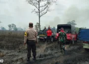 Kebakaran Melanda: Puluhan Hektar Hutan Taman Nasional Way Kambas di Lampung Timur Terbakar dalam Dua Hari