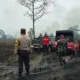 Lagi, Puluhan Hektar Lahan di Taman Nasional Way Kambas Lampung Timur Dua Hari Ludes Terbakar