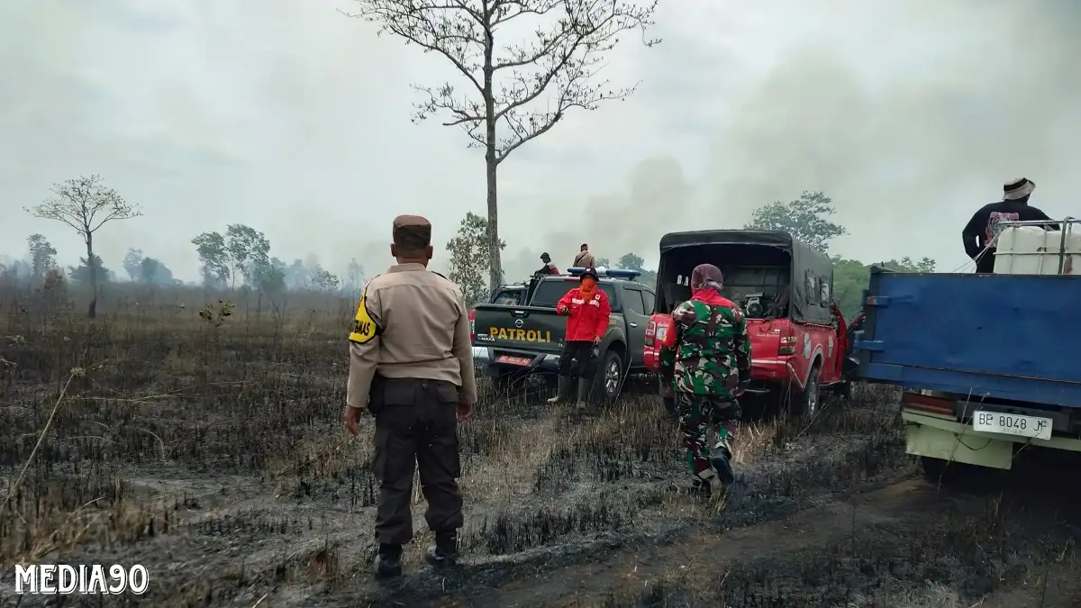 Lagi, Puluhan Hektar Lahan di Taman Nasional Way Kambas Lampung Timur Dua Hari Ludes Terbakar