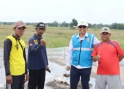 Petani Way Panji Lampung Selatan Raih Keberhasilan Ketahanan Pangan Berkat Dukungan PLN di Hari Pahlawan