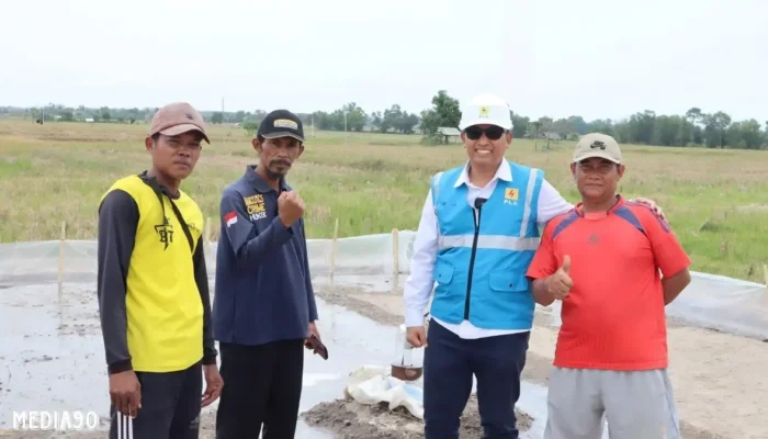 Petani Way Panji Lampung Selatan Raih Keberhasilan Ketahanan Pangan Berkat Dukungan PLN di Hari Pahlawan