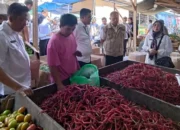 Ekonomi Lampung Tumbuh 4,81 Persen di Triwulan III 2024, Sektor Pertanian Jadi Penggerak Utama, Catat BPS