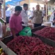 Triwulan III di 2024, BPS Catat Perekonomian Lampung Tumbuh 4,81 Persen, Didominasi Sektor Pertanian