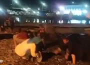 Fenomena Langka! Ratusan Ikan Muncul di Daratan Kota Agung Tanggamus, Begini Penjelasan Polairud dan BMKG