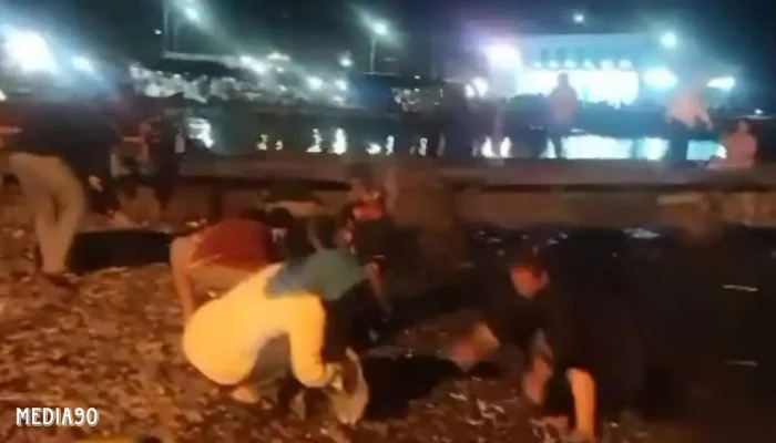 Fenomena Langka! Ratusan Ikan Muncul di Daratan Kota Agung Tanggamus, Begini Penjelasan Polairud dan BMKG