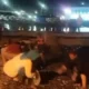 Viral Ratusan Ikan Naik ke Daratan di Perairan Kota Agung Tanggamus, ini Penjelasan Polairud dan BMKG