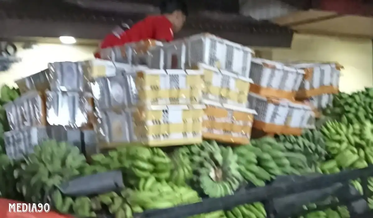 Ditutupi Muatan Pisang, Balai Karantina Lampung Gagalkan Penyelundupan 2.475 Burung Ilegal di Bakauheni