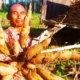 Harga Singkong di Lampung Anjlok, Begini Penjelasan Pabrik Tepung Tapioka