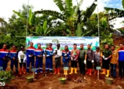 Pertamina NRE Tanam Pohon di Lahan Kritis Ngarip Ulubelu Tanggamus dalam Rangka Hari Menanam Pohon Indonesia