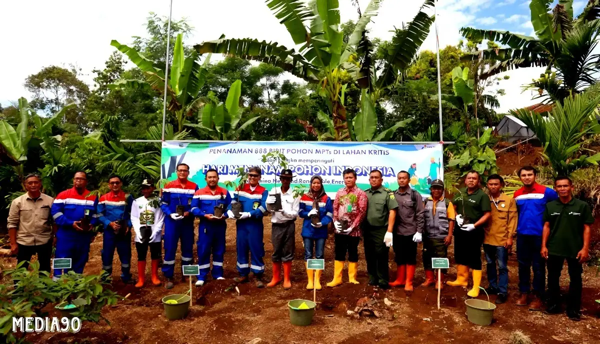 Hari Menanam Pohon Indonesia, Pertamina NRE Tanam Lahan Kritis di Ngarip Ulubelu Tanggamus