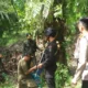 Harimau Sumatera Masih Berkeliaran di Lingkungan Warga Pesisir Barat, Polda Lampung Himbau Waspadai Pergerakan