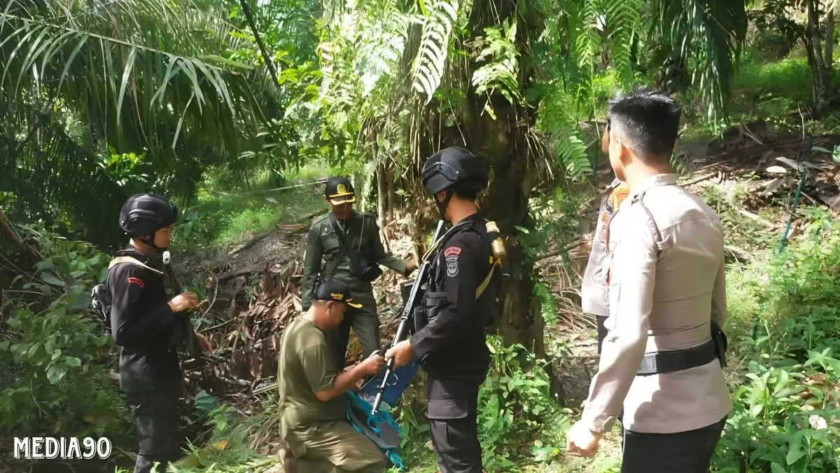 Harimau Sumatera Masih Berkeliaran di Lingkungan Warga Pesisir Barat, Polda Lampung Himbau Waspadai Pergerakan
