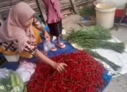 BPS Lampung Laporkan Inflasi Ekonomi Lampung 0,42 Persen pada November 2024, Bawang Jadi Penyumbang Inflasi Terbesar