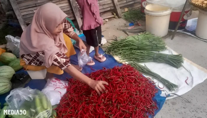 BPS Lampung Laporkan Inflasi Ekonomi Lampung 0,42 Persen pada November 2024, Bawang Jadi Penyumbang Inflasi Terbesar
