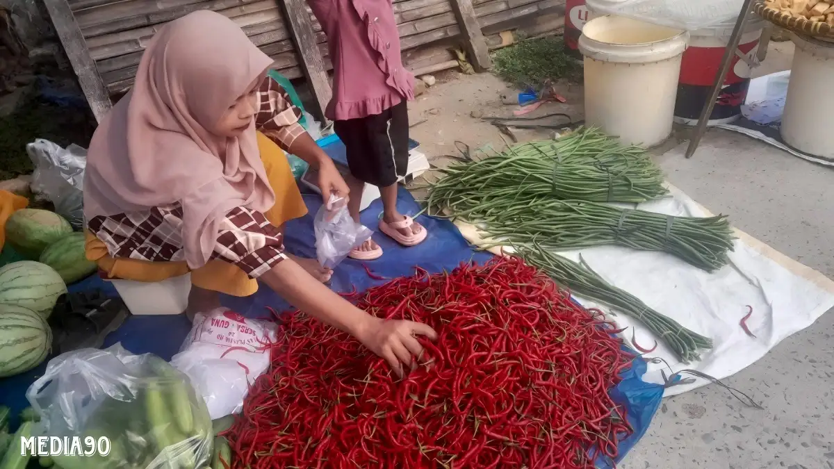 November 2024, BPS Lampung Catat Ekonomi Lampung Alami Inflasi 0,42 Persen, Harga Bawang Inflasi Tertinggi