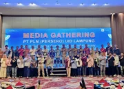 PLN Lampung Bersiap Sambut Nataru 2025, Jamin Pasokan Listrik Tetap Stabil