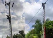 Dengan Dana Desa, Kampung Bumi Dipasena Agung Pasang 20 Lampu Penerangan Jalan