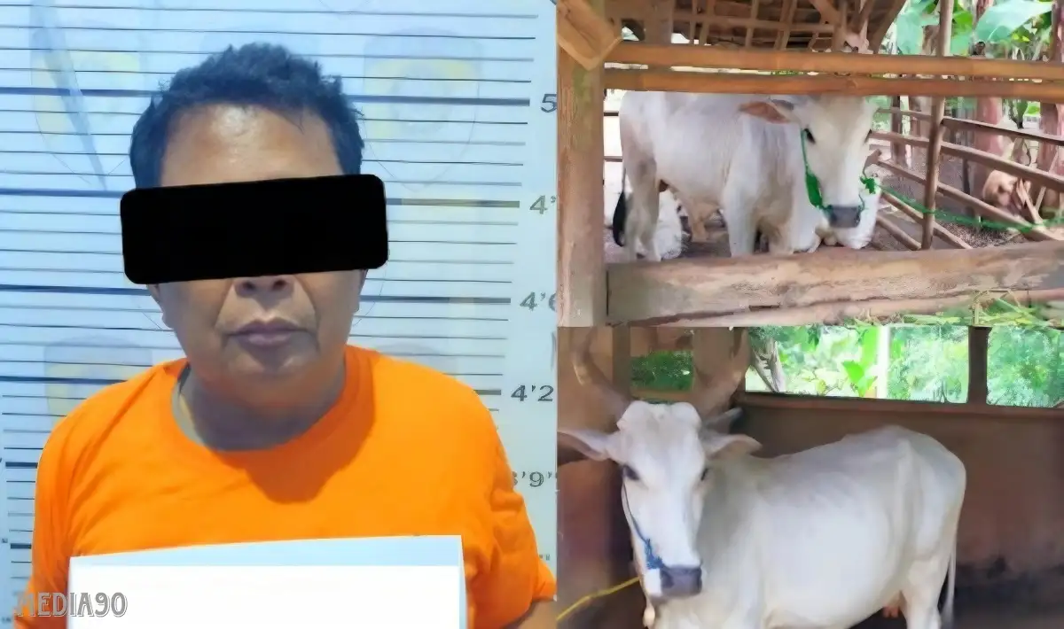 Curi Dua Sapi Terikat di Pekarangan Iringmulyo Metro, Pria ini Dijebloskan Masuk Sel Polisi