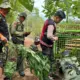Harimau Masih Muncul ke Pemukiman Warga di Pesisir Barat dan Belum Tertangkap, Pengawasan di Pos Siaga Berlanjut