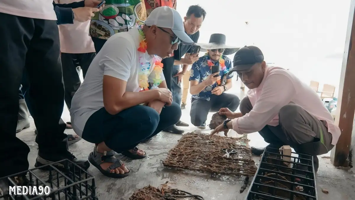 Panen Mutiara di The Hurun, Gubernur Terpilih Mirza Dorong Lampung Jadi Pusat Pariwisata Kelautan