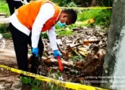 Warga Temukan Pria Tewas di Semak Palas Lampung Selatan Saat Mencari Kayu, Ini Dugaan Penyebabnya