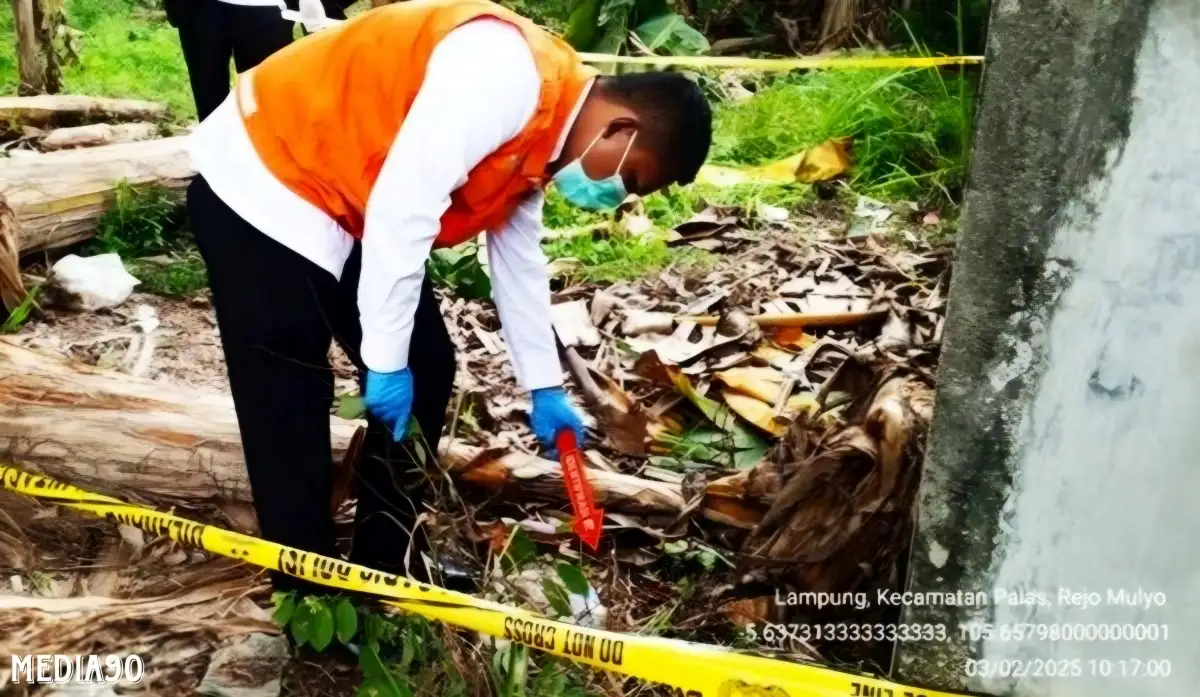 Hendak Cari Kayu, Warga Temukan Pria Meninggal di Semak Palas Lampung Selatan, ini Penyebabnya