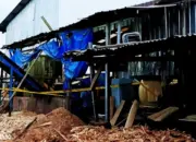 Tragis! Pekerja PT Minggok Indonesia di Lampung Tengah Tewas Terlindas Mesin Penghancur Kayu