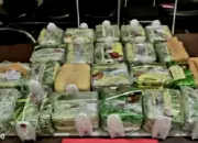Bandar Sabu Tertangkap Selundupkan 24 Kg dalam Ban Serep Pajero di Pelabuhan Bakauheni
