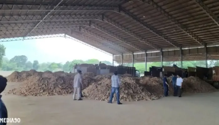 Kementan Sidak 71 Perusahaan Tapioka di Lampung, Tekankan Mutu Ubi Kayu