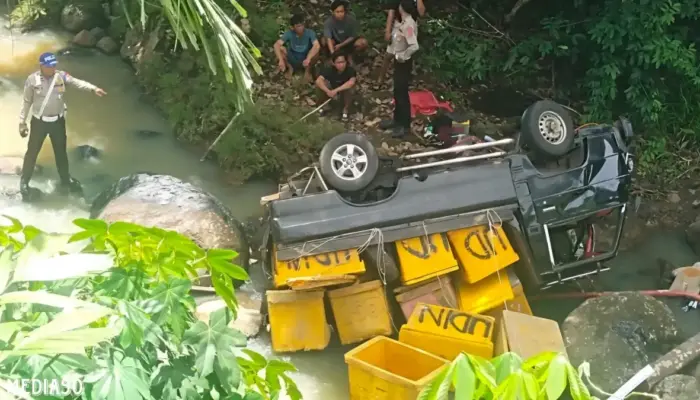 Kecelakaan Tragis: Mobil Pickup Bermuatan Ikan Terjun ke Jurang 15 Meter Akibat Sopir Ngantuk di Karya Penggawa Pesisir Barat