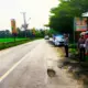 Waspada Melintas Malam dan Hujan, Jalinbar Pringsewu Rawan Kecelakaan, Banyak Lubang dan Bergelombang