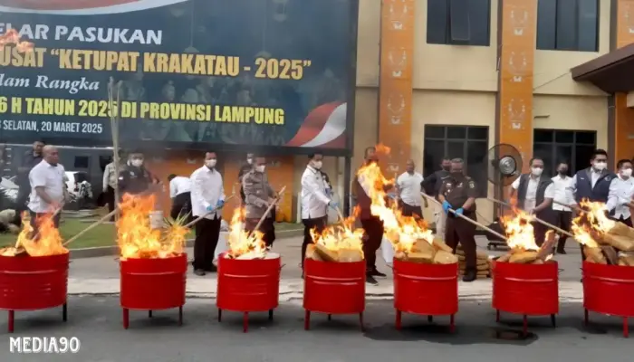 Bekuk 46 Pelaku dan Bongkar Jaringan Fredy Pratama, Polda Lampung Musnahkan 163 Kg Ganja dan 68,9 Kg Sabu