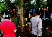 Diduga Tak Kuat Hadapi Tekanan Hidup, Pemuda Ditemukan Gantung Diri di Pohon Asam Pekon Sidoharjo Pringsewu