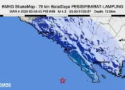Gempa Tektonik Magnitudo 4,3 Guncang Pesisir Barat, Terasa Hingga Semaka Tanggamus Menjelang Buka Puasa